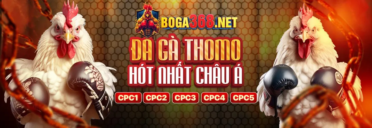 Đá Gà Trực Tuyến Hấp Dẫn trên 8kbet456 app