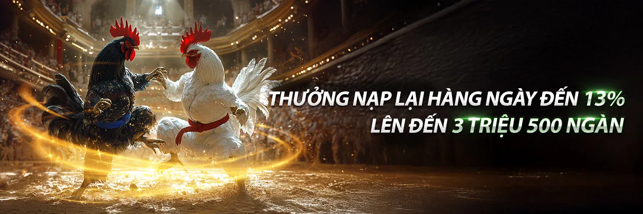 Giao diện ứng dụng 8kbet456 App hiển thị các trò chơi cá cược thể thao và sòng bạc trực tuyến