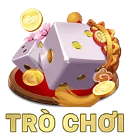 Biểu tượng đội ngũ chuyên nghiệp